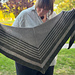 Riker Shawl pattern 