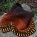 Inspira Cowl photo 3