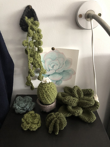 Barrelkaktus - bycgeorge2402