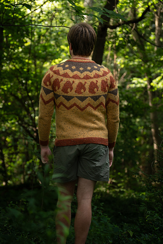 Tomnooki - Chase Harpole