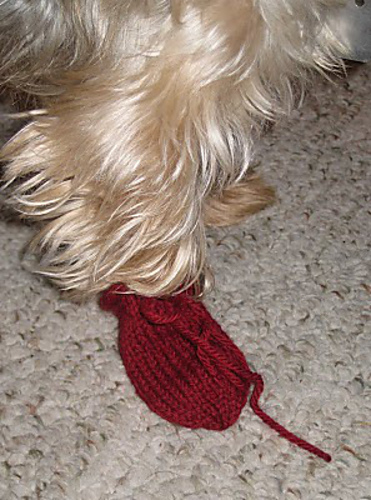 Paw Socks photo 4