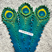 Peacocking Feather pattern