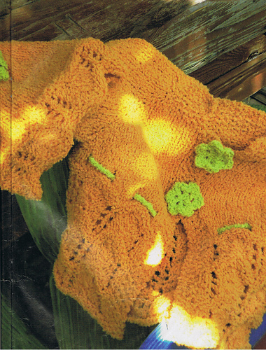 Top down color zucca photo 1