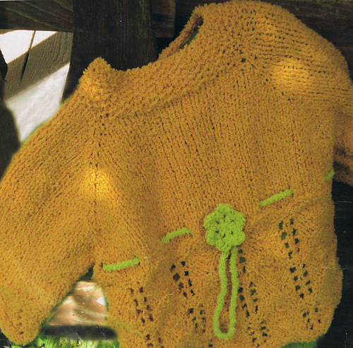 Top down color zucca photo 3