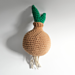 Outstanding Onion photo 3