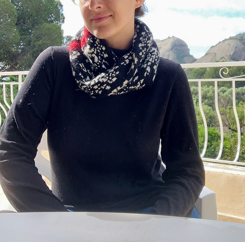 Needlecase cowl