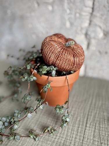 Liten strikkede gresskar - Teresa Runnett