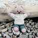 Uszka Teddy pattern 