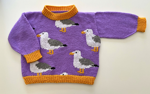 Age 6 (116cm). Duplicate stitch finish.