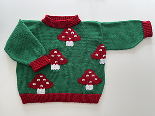 Age 6 (116cm). Duplicate stitch finish.