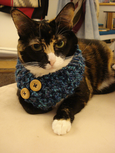 The Triangle Cowl for Tiny Creatures photo 8