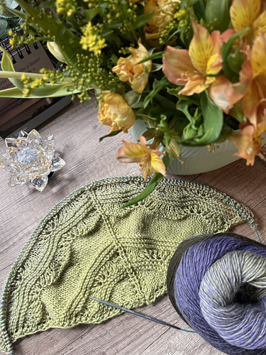 Elizabeth Shawl photo 8