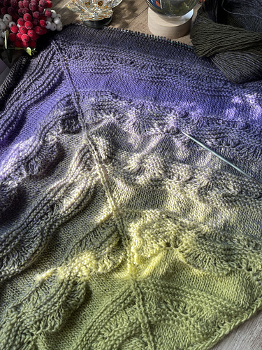 Elizabeth Shawl photo 4