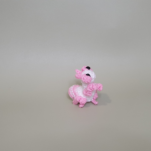 Orchid Mantis photo 7