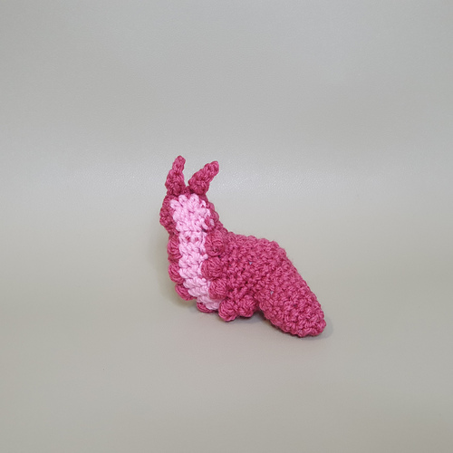 Velvet Worm photo 6