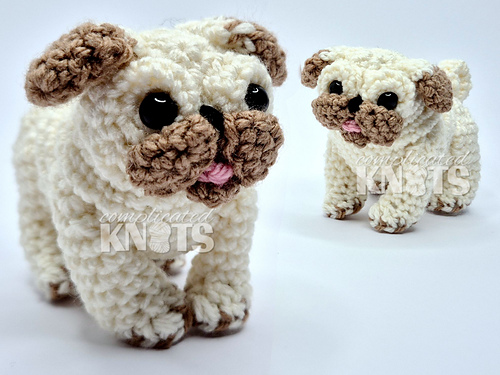 Pug photo 9