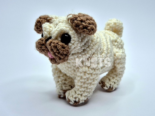 Pug photo 8