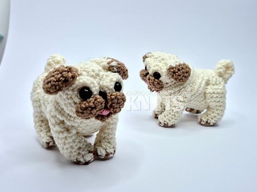 Pug photo 3