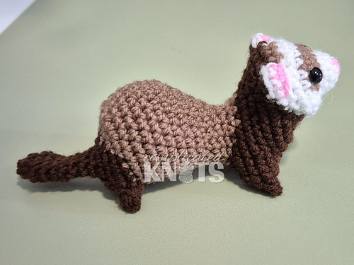 Ferret photo 5