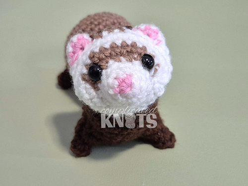 Ferret photo 3