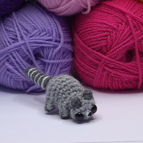 Mini Raccoon photo 4