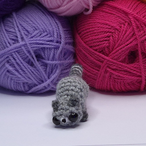 Mini Raccoon photo 3