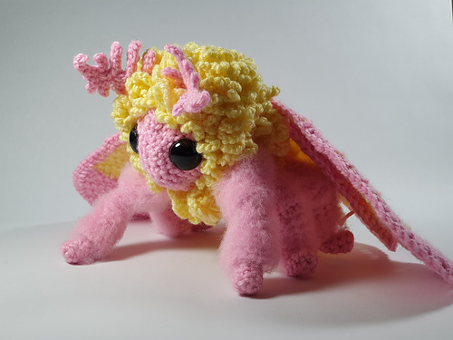 Rosy Maple Moth - Kylie Slee