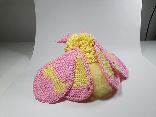 Rosy Maple Moth - Kylie Slee