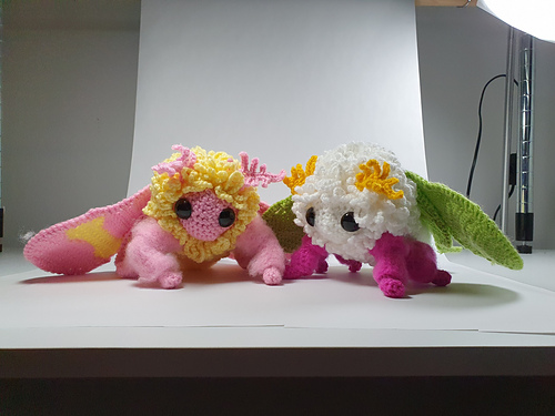 Rosy Maple Moth - Kylie Slee