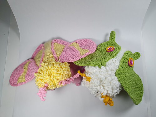 Rosy Maple Moth - Kylie Slee