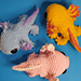 Axolotl photo 3