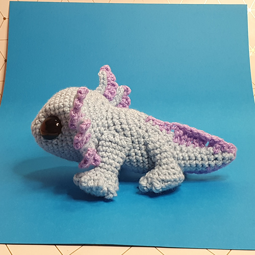 Axolotl photo 6