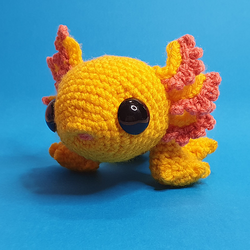 Axolotl photo 5