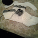 Lorali Dress pattern 