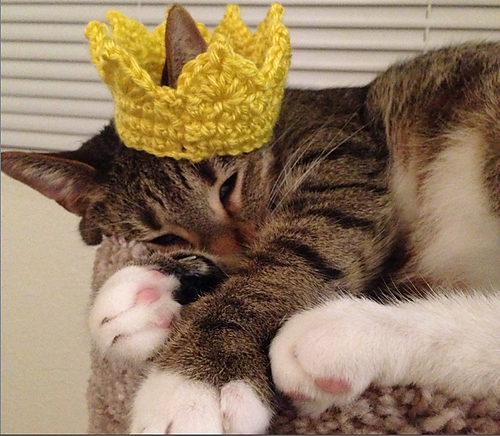 Kattkrona - thecrochetyknitter