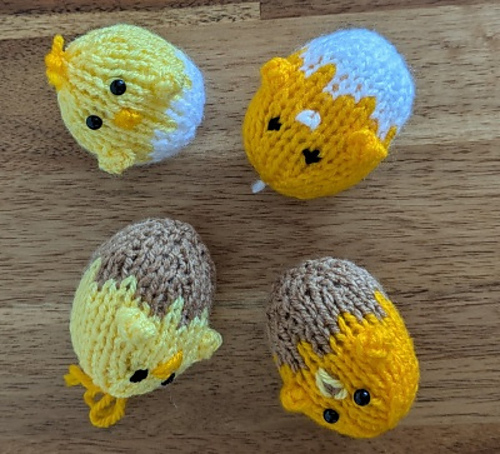 Chick Eggs photo 4