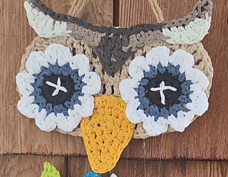 Close up of owl wall hanging face.