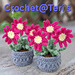 Gerbera Daisies in Pots pattern 
