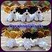 Papillon Puppies pattern 