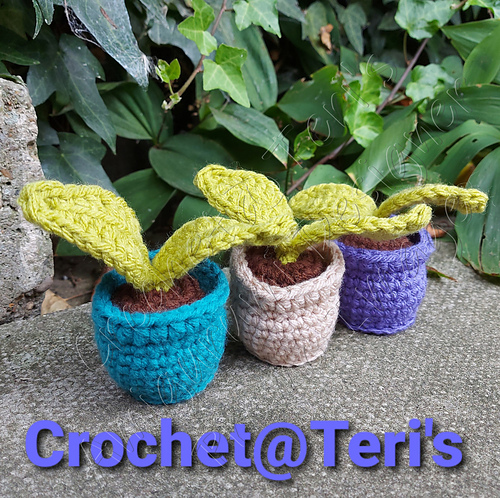Seedling Pots photo 3
