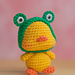 Chubby Duck pattern 