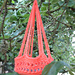 hanging basket photo 3