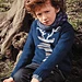 26 Pull jacquard cerf pattern 