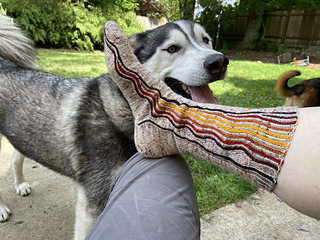 Dog not included in pattern :feet::wink: