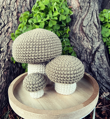 Mushroom Trio photo 5