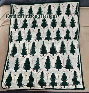 Regi's tester throw made for her hubby!