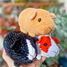 Guinea Pig Quido 3-in-1 pattern 