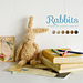 366-ami Rabbit photo 3