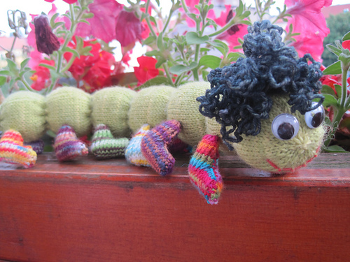 Apfelwurm mit Socken photo 2