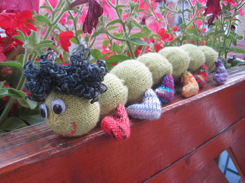 Apfelwurm mit Socken photo 3